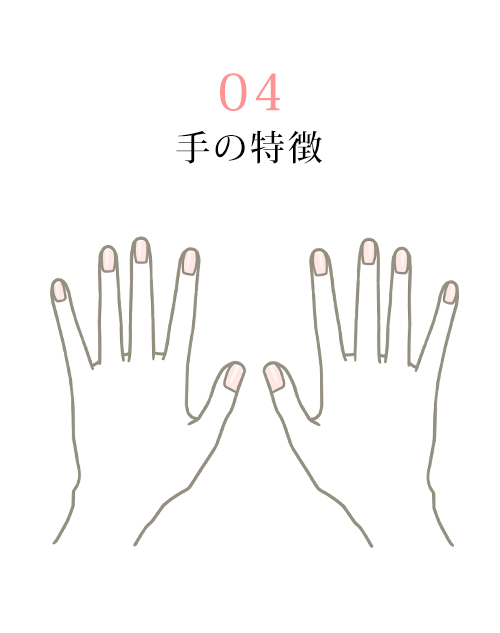 手の特徴