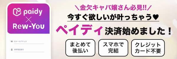 ペイディ決済始めました
