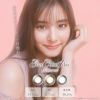 【カラコン 度なし】Ever Color 1day Natural（エバーカラーワンデー ナチュラル） OEO　着色径14.5mm 1日使い捨て 1箱20枚入り