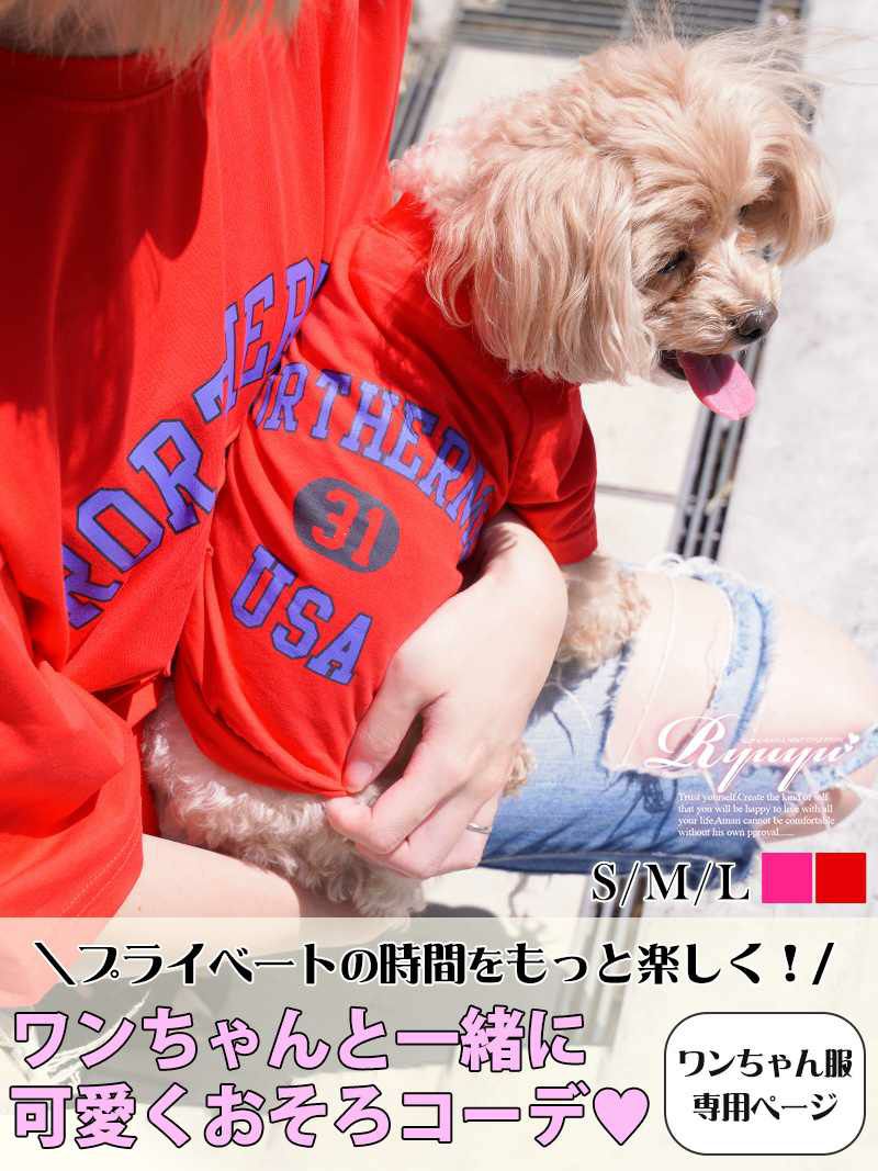 犬用アメカジラグランリブ袖ロゴTシャツ【Ryuyu/リューユ】