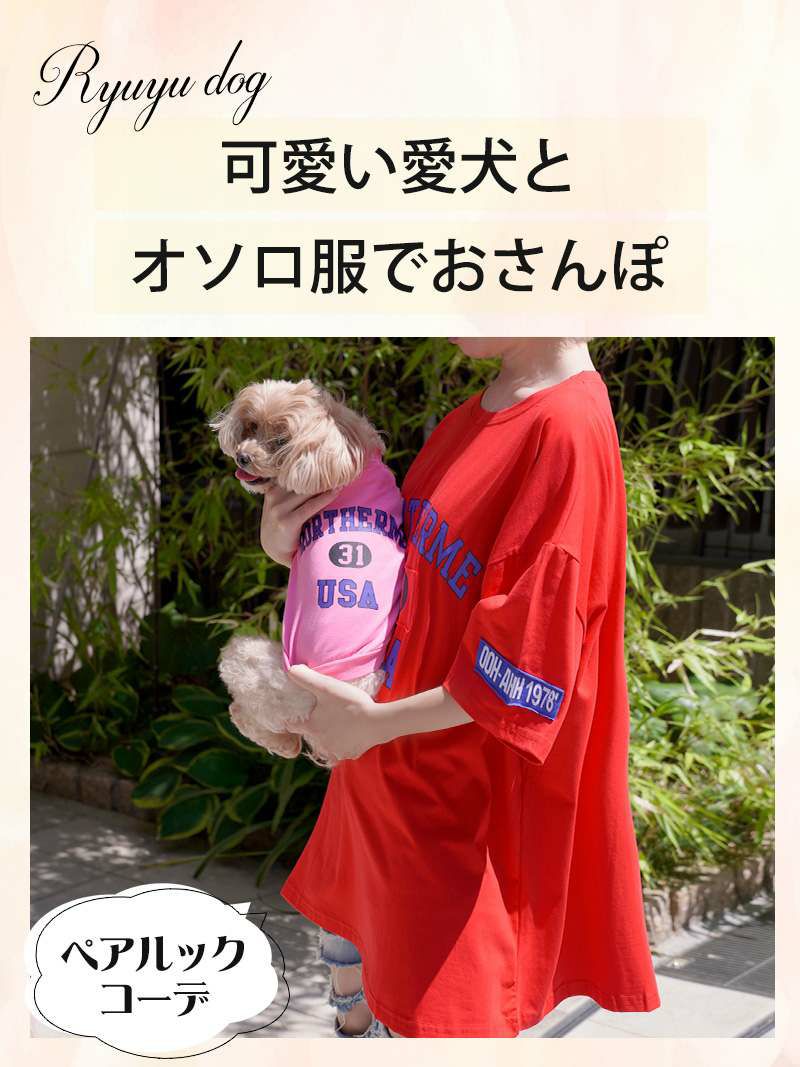 犬用アメカジラグランリブ袖ロゴTシャツ【Ryuyu/リューユ】