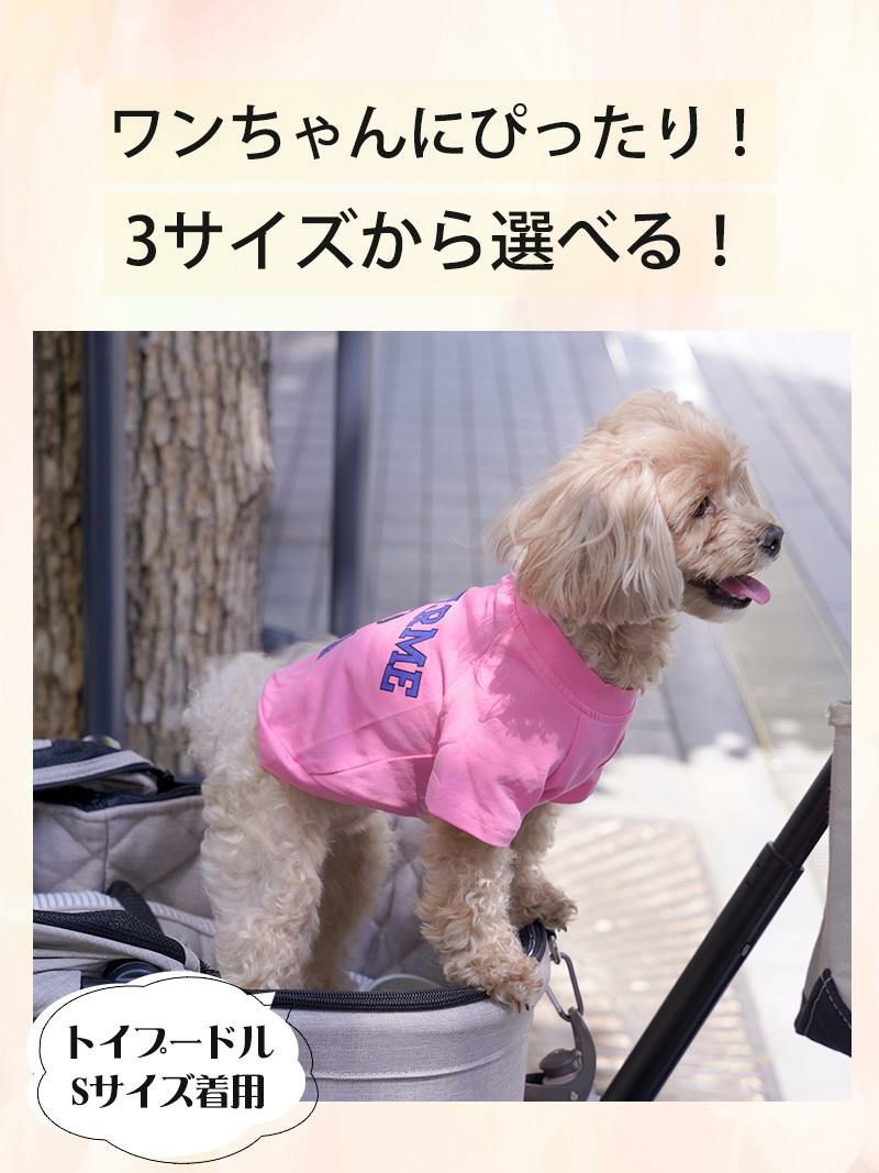 犬用アメカジラグランリブ袖ロゴTシャツ【Ryuyu/リューユ】