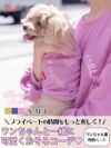 犬用ロゴ刺繍スウェットトレーナー【Ryuyu/リューユ】