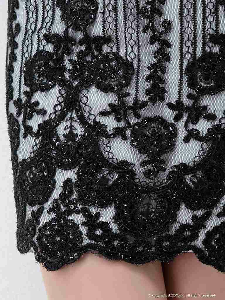 【an/アン】ブラック花柄刺繍ハイネックリボンミニドレス ITK